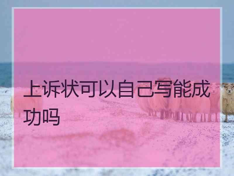 上诉状可以自己写能成功吗
