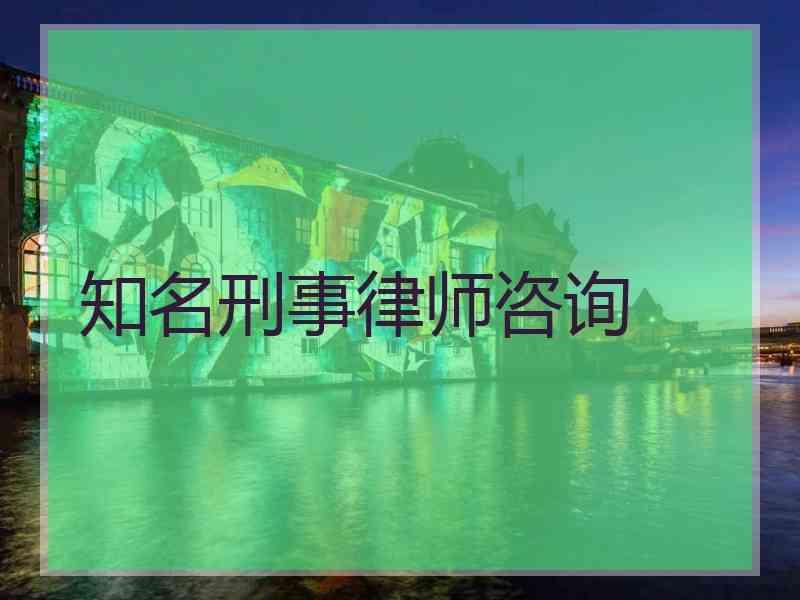 知名刑事律师咨询