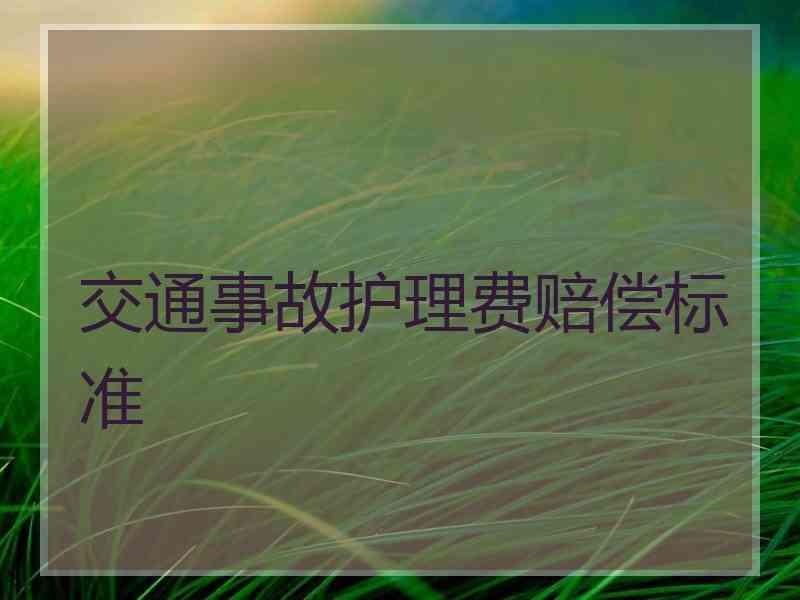 交通事故护理费赔偿标准