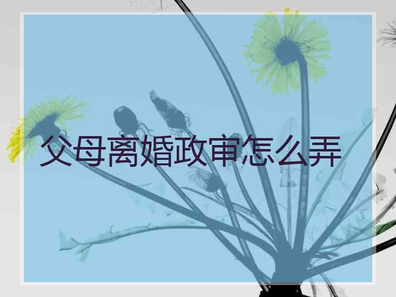 父母离婚政审怎么弄