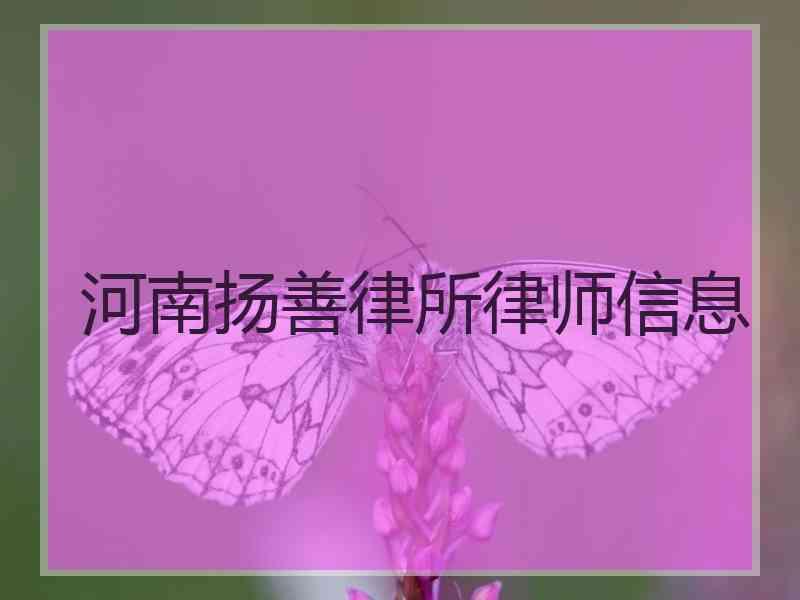 河南扬善律所律师信息