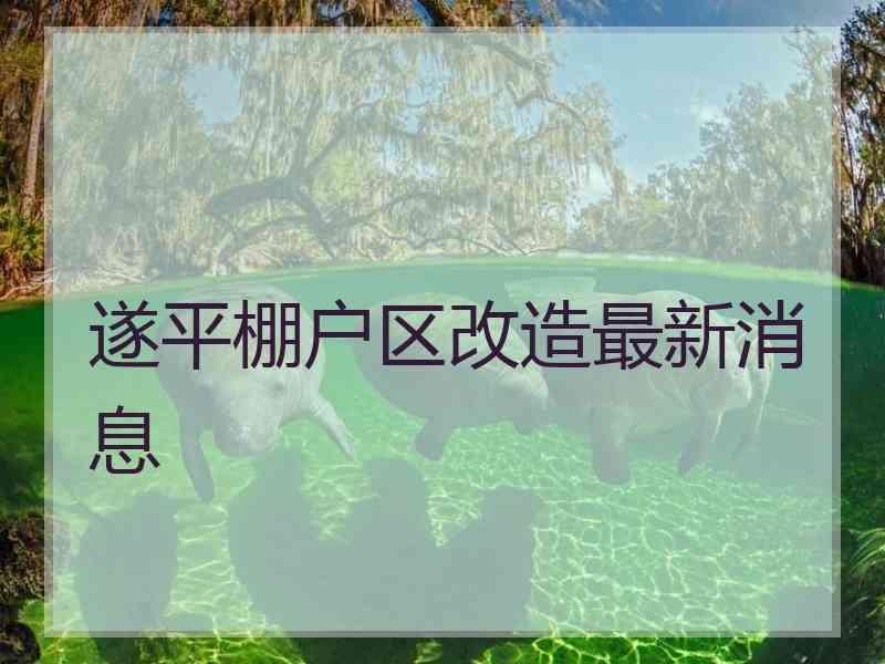 遂平棚户区改造最新消息