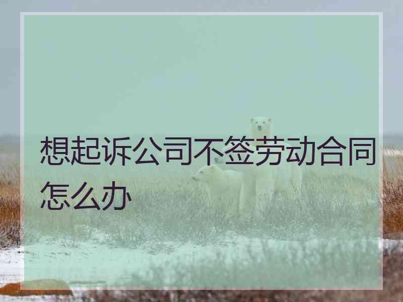 想起诉公司不签劳动合同怎么办