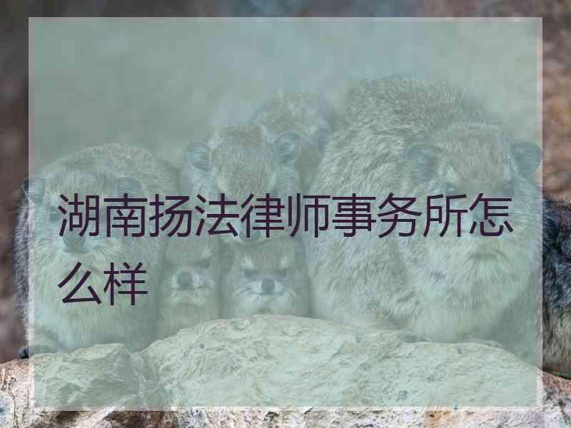 湖南扬法律师事务所怎么样