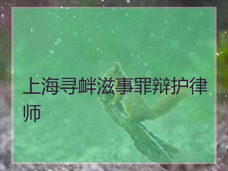 上海寻衅滋事罪辩护律师