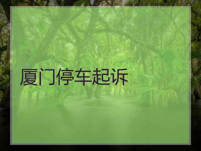 厦门停车起诉