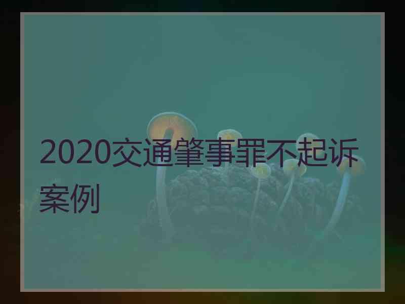 2020交通肇事罪不起诉案例