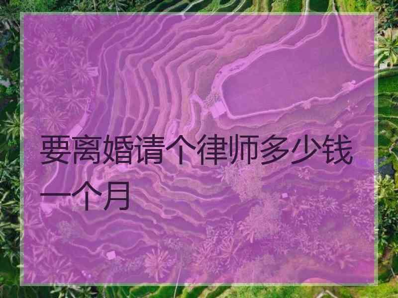 要离婚请个律师多少钱一个月