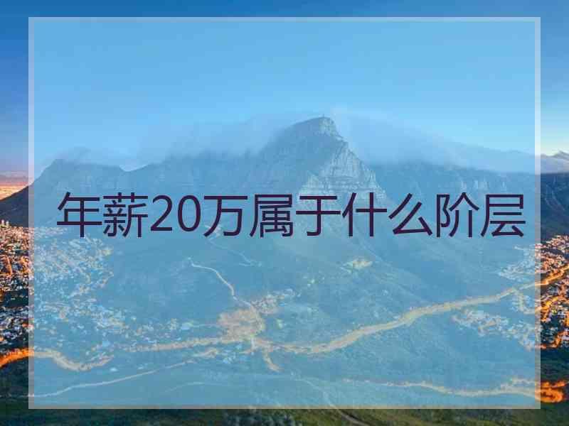 年薪20万属于什么阶层