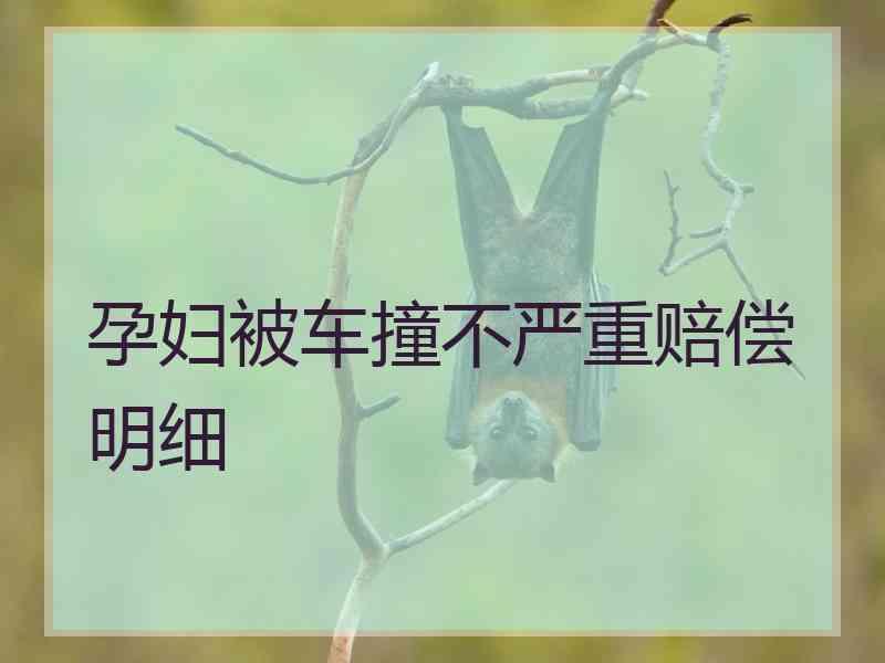 孕妇被车撞不严重赔偿明细