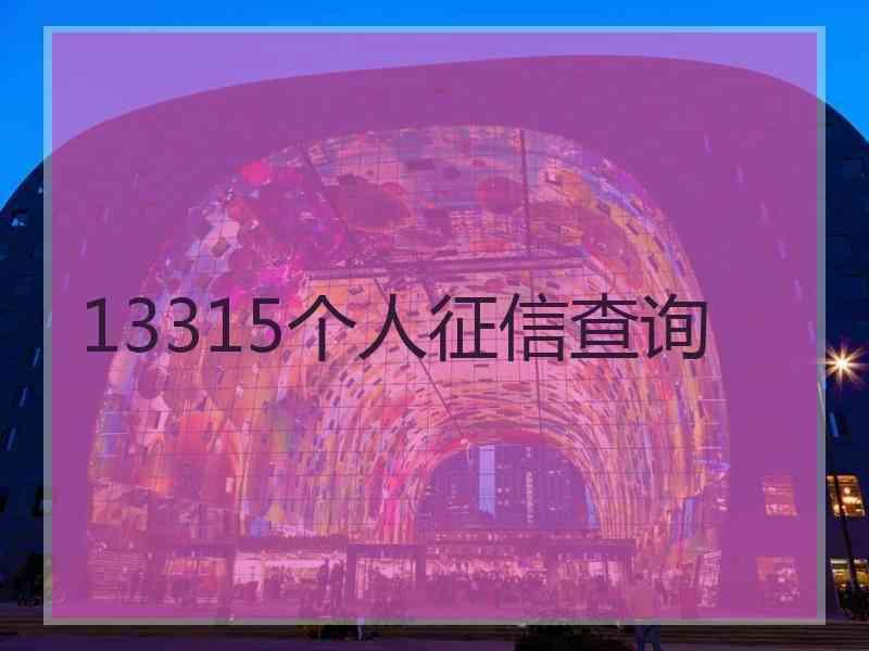 13315个人征信查询