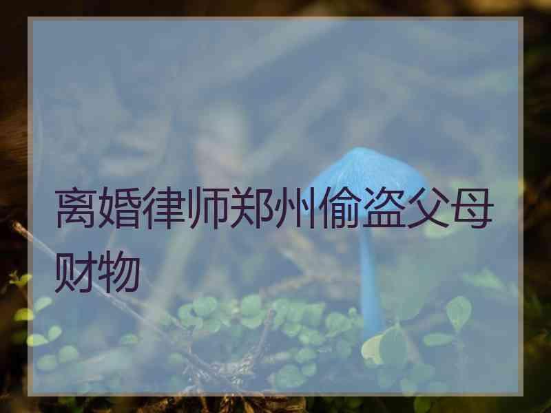 离婚律师郑州偷盗父母财物