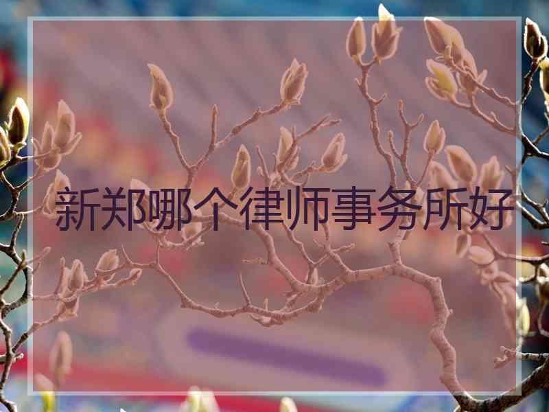 新郑哪个律师事务所好