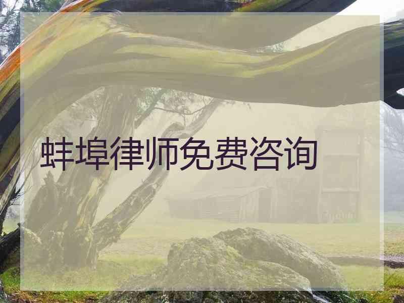 蚌埠律师免费咨询