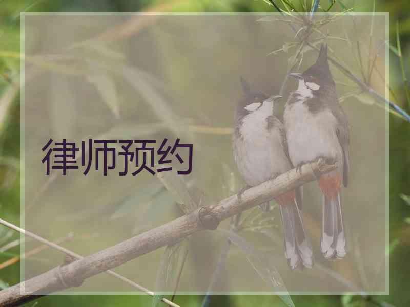 律师预约