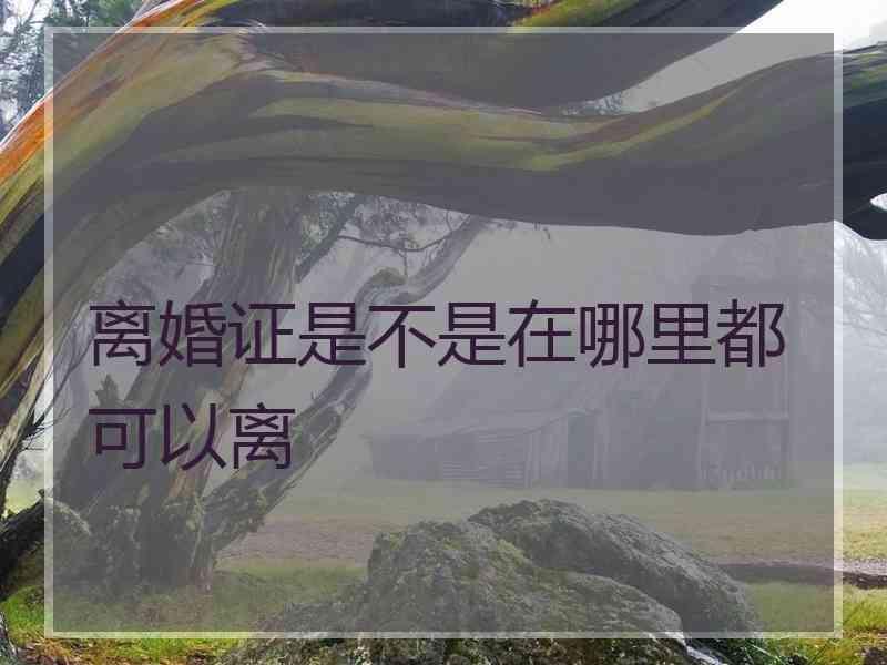 离婚证是不是在哪里都可以离