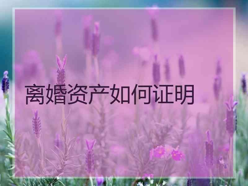 离婚资产如何证明