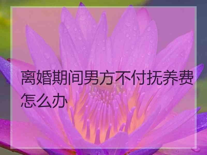 离婚期间男方不付抚养费怎么办