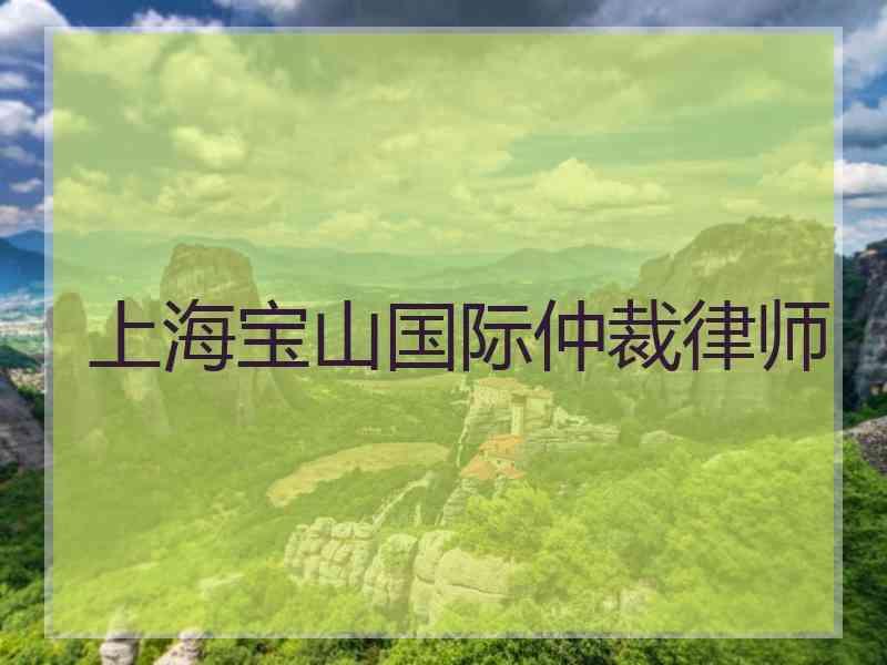 上海宝山国际仲裁律师