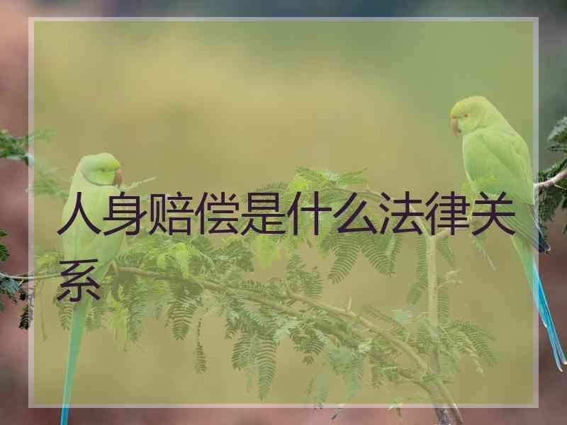 人身赔偿是什么法律关系