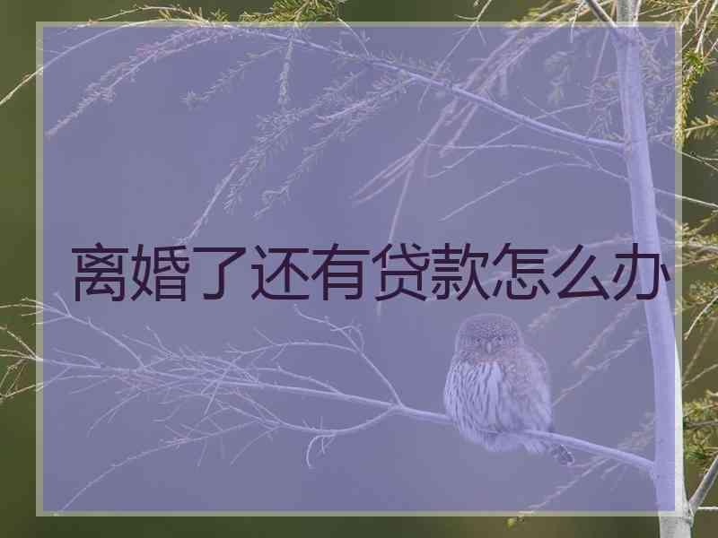 离婚了还有贷款怎么办