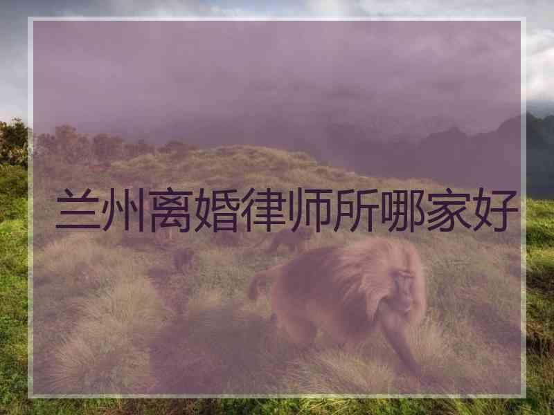 兰州离婚律师所哪家好