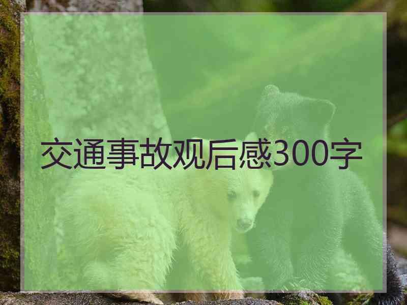 交通事故观后感300字