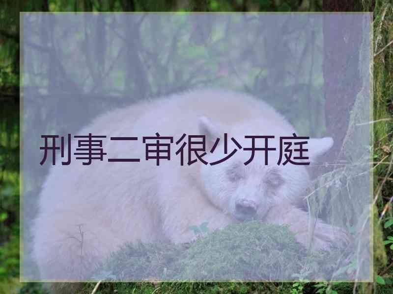 刑事二审很少开庭
