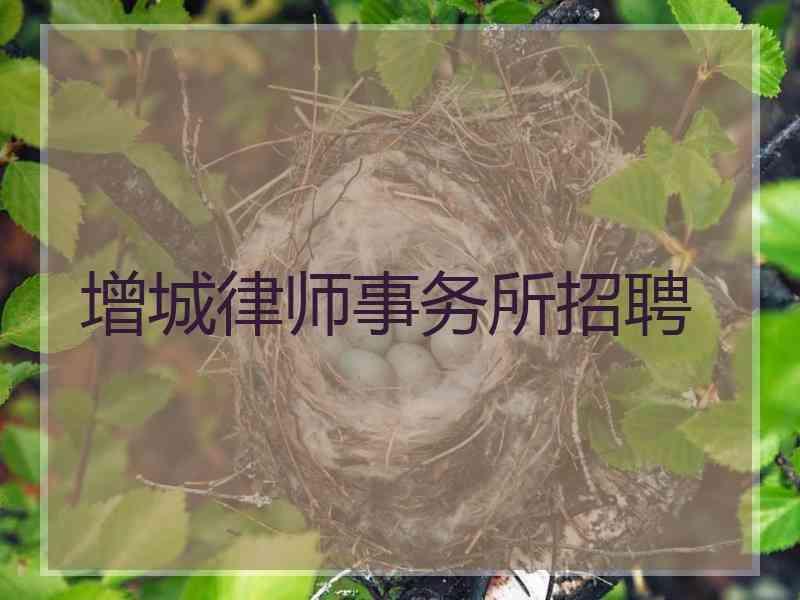 增城律师事务所招聘