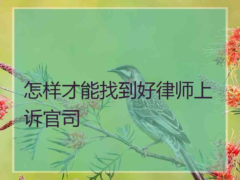 怎样才能找到好律师上诉官司