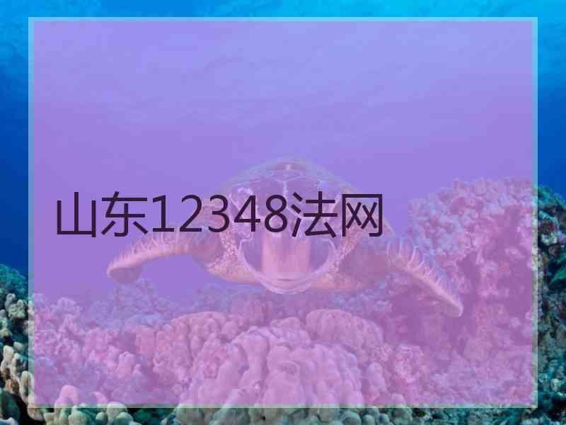 山东12348法网