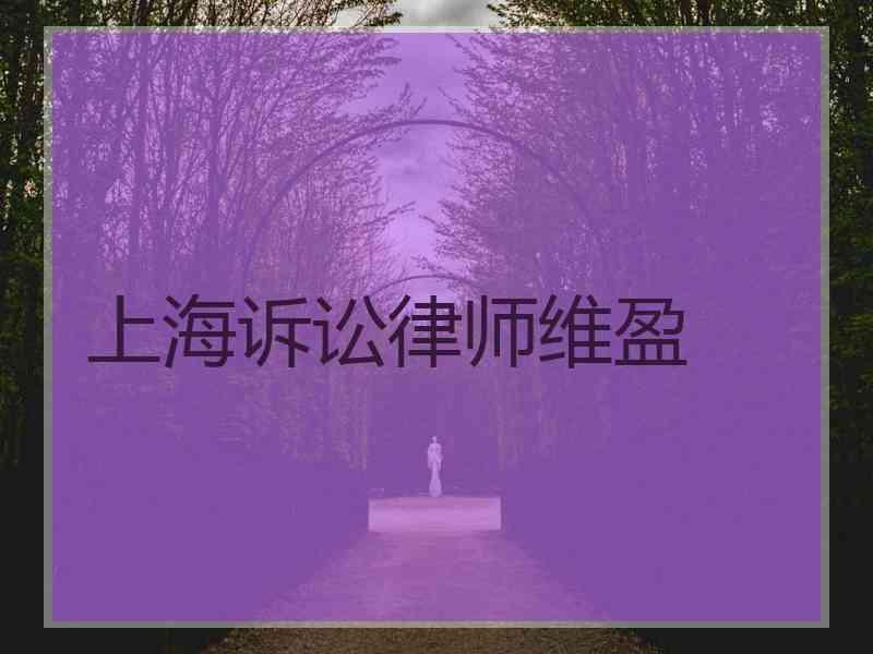 上海诉讼律师维盈