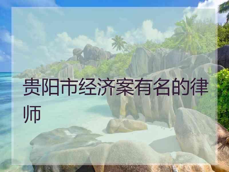 贵阳市经济案有名的律师