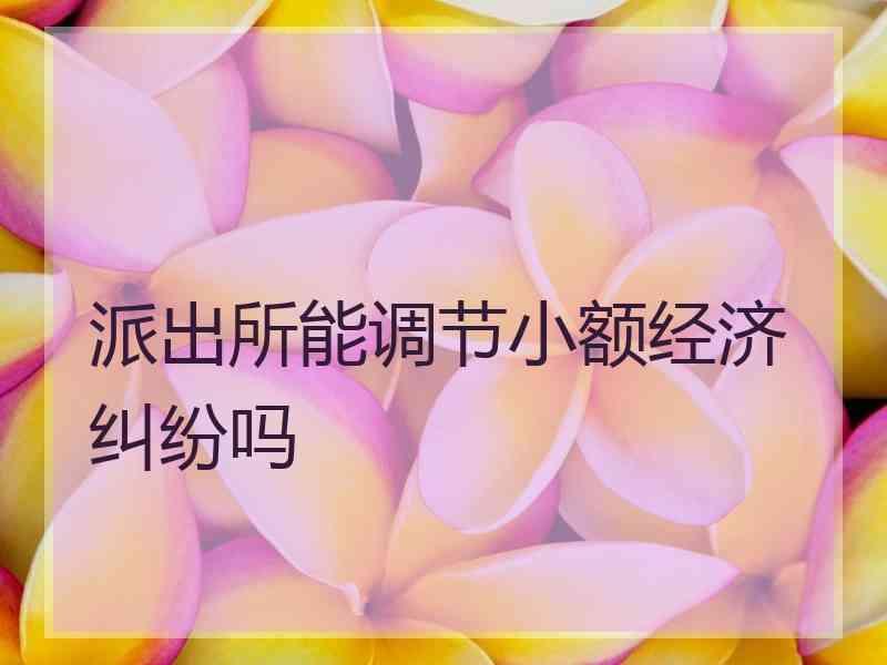 派出所能调节小额经济纠纷吗