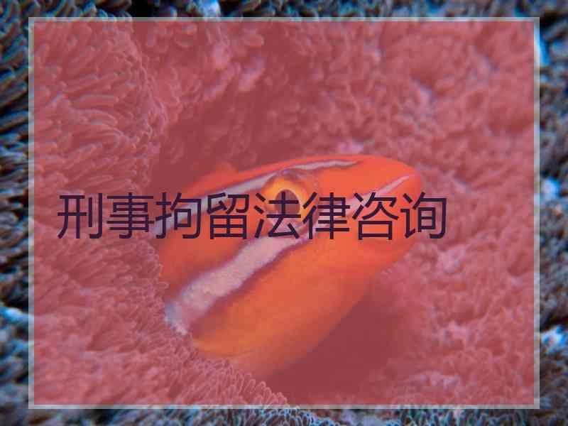 刑事拘留法律咨询