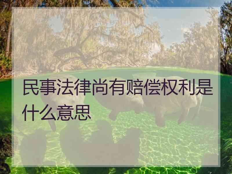 民事法律尚有赔偿权利是什么意思