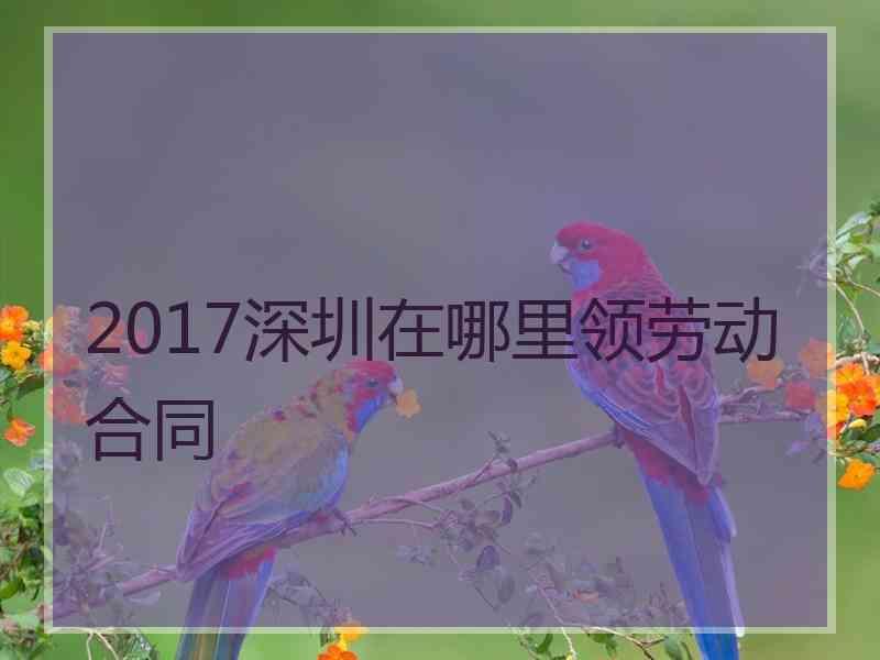 2017深圳在哪里领劳动合同