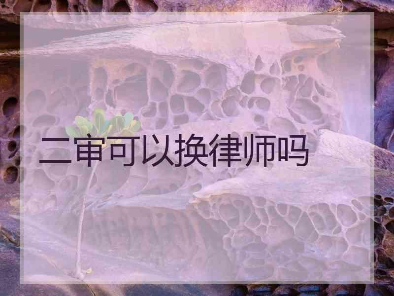 二审可以换律师吗