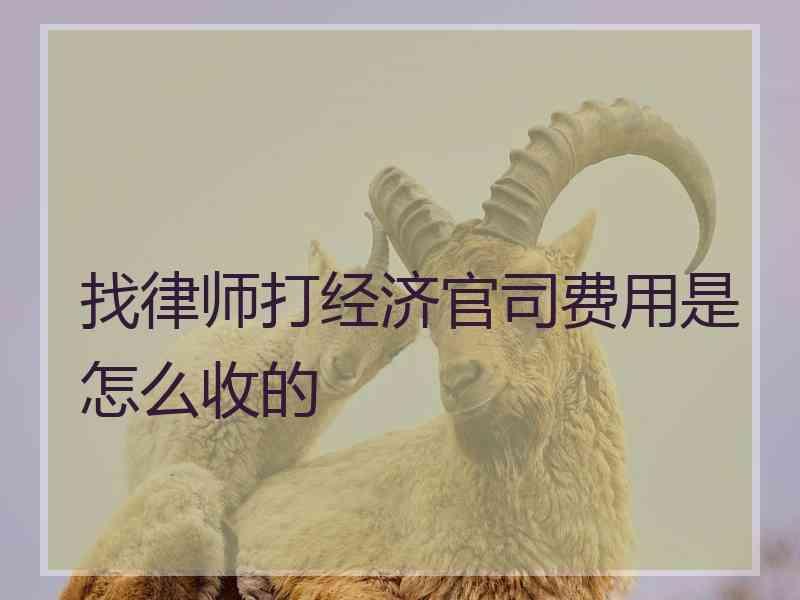 找律师打经济官司费用是怎么收的