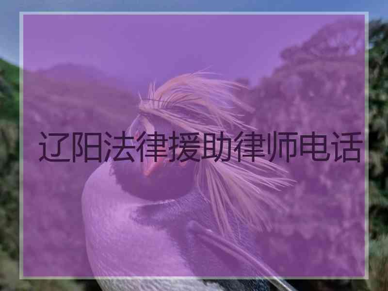 辽阳法律援助律师电话