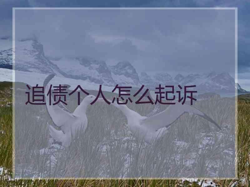 追债个人怎么起诉