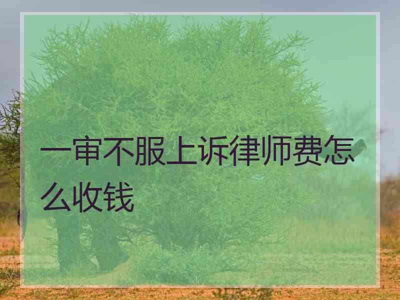 一审不服上诉律师费怎么收钱