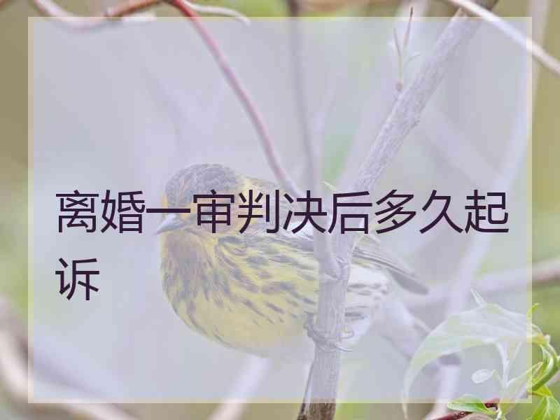 离婚一审判决后多久起诉