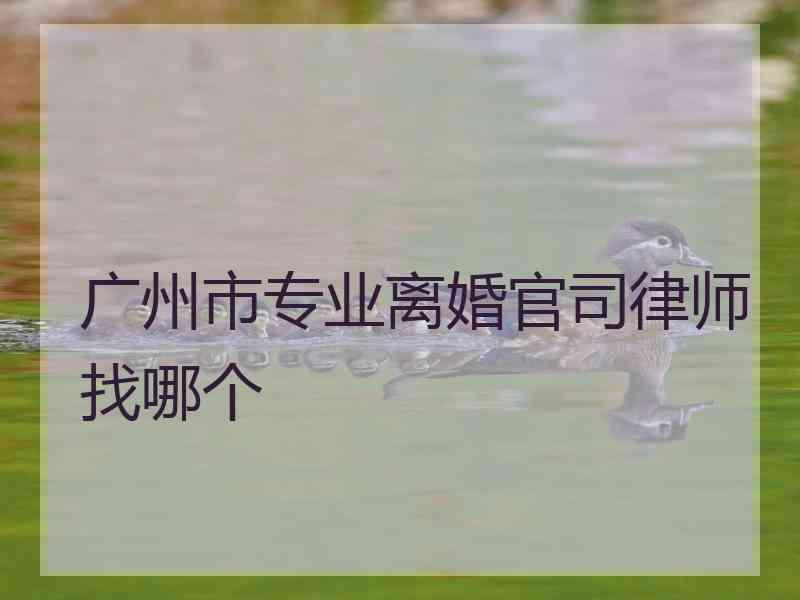 广州市专业离婚官司律师找哪个 广州市专业离婚官司律师找哪个