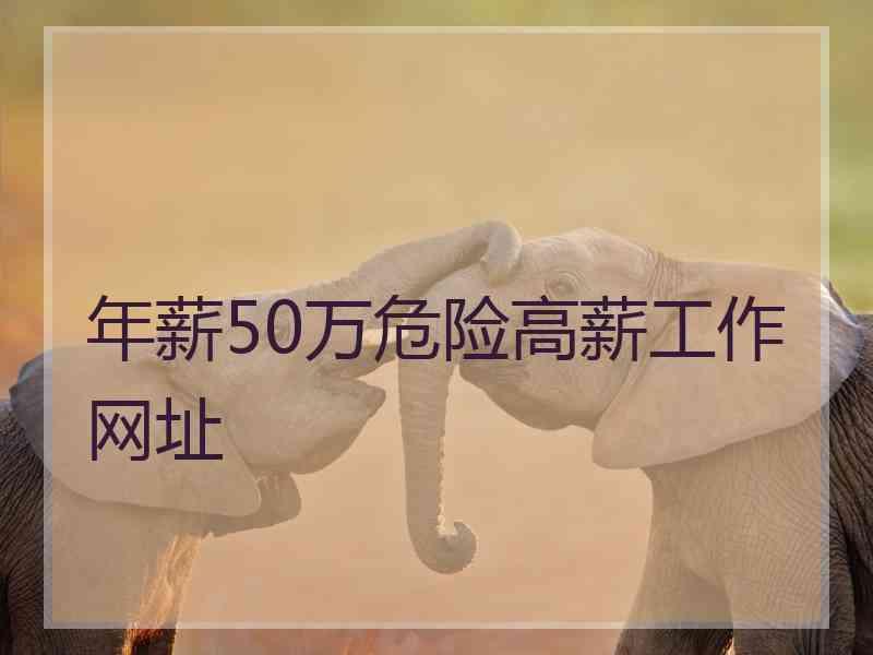 年薪50万危险高薪工作网址