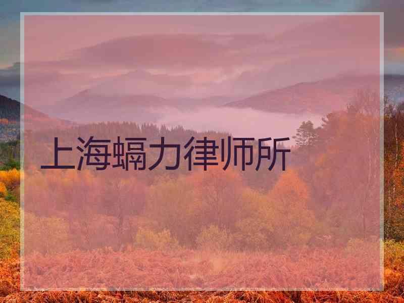 上海螎力律师所