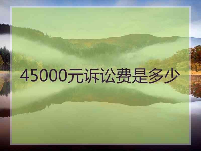 45000元诉讼费是多少