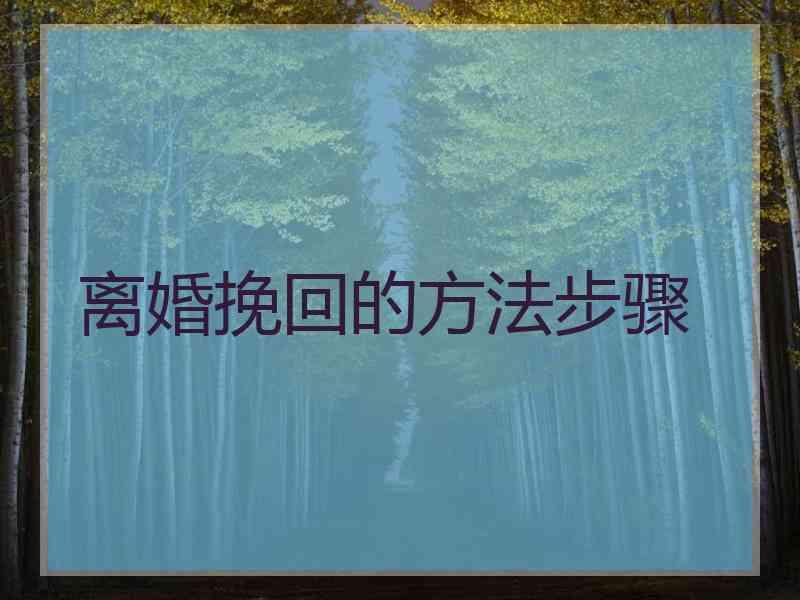 离婚挽回的方法步骤