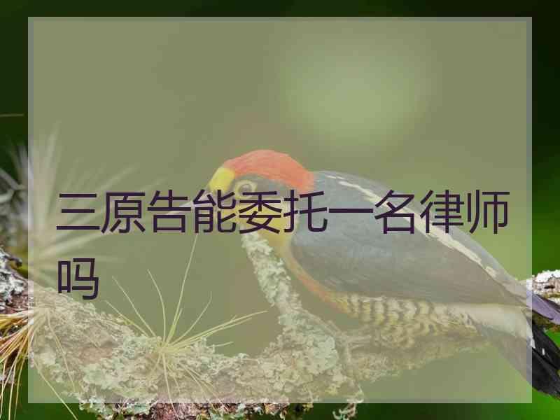 三原告能委托一名律师吗