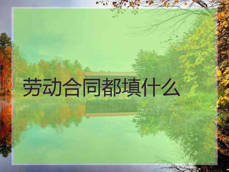 劳动合同都填什么